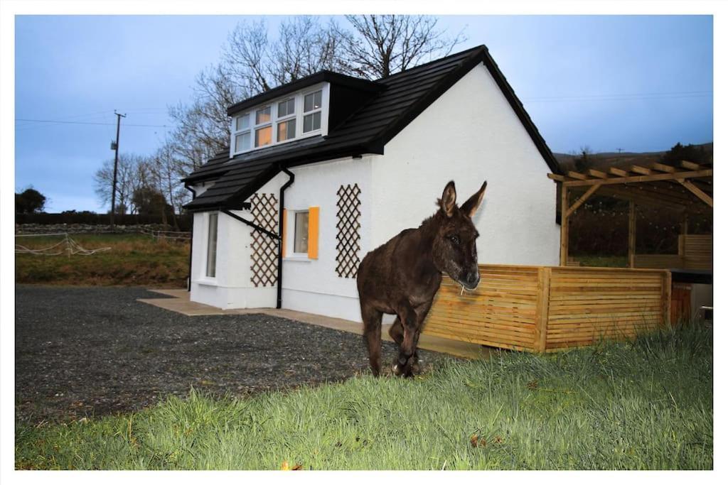 Killeavy Cottage Meigh Luaran gambar