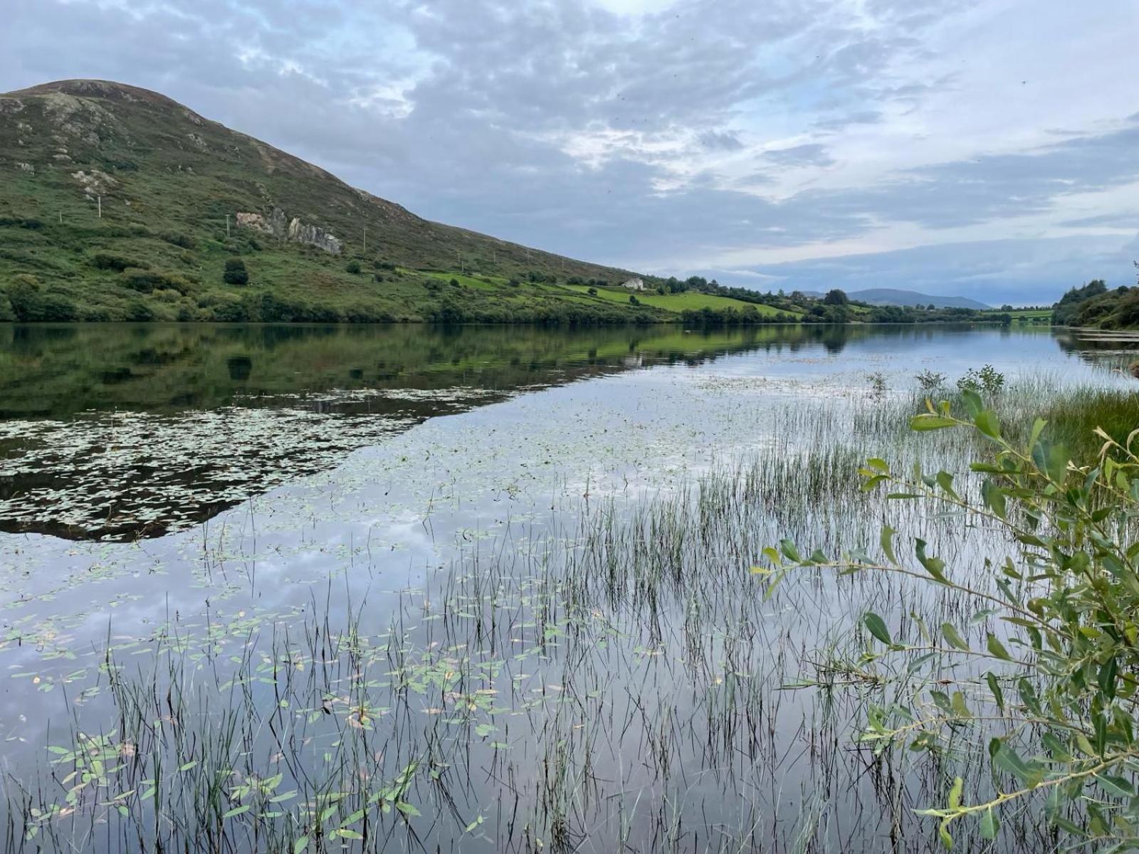 Killeavy Cottage Meigh Luaran gambar