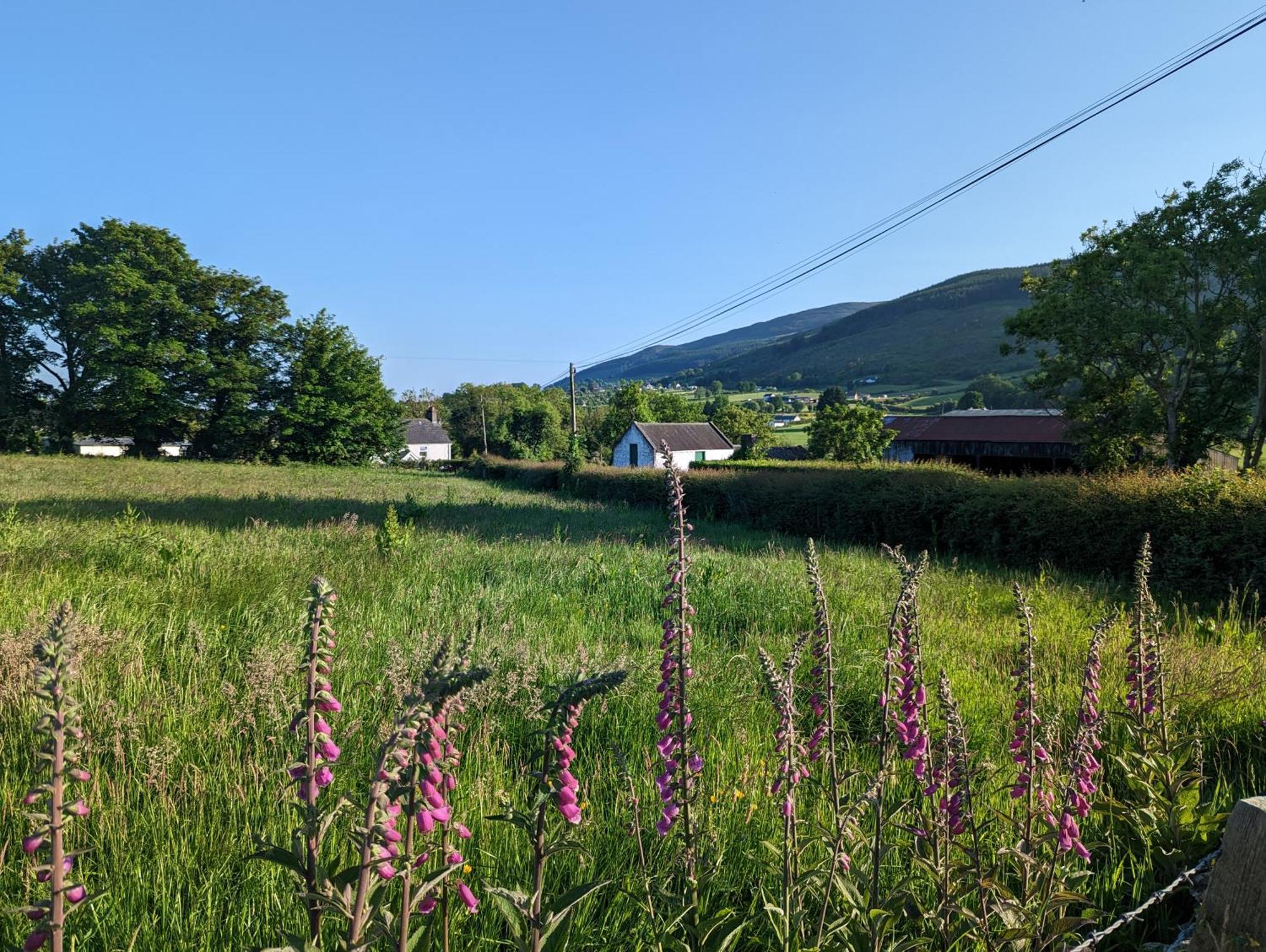 Killeavy Cottage Meigh Luaran gambar